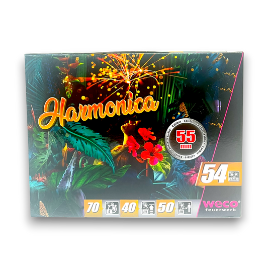Harmonica Batterie